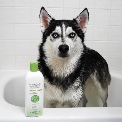 Synergy Labs Veterinary Formula Solutions Triple Strength Dirty Dog Concentrated Shampoo 17oz - 503ml