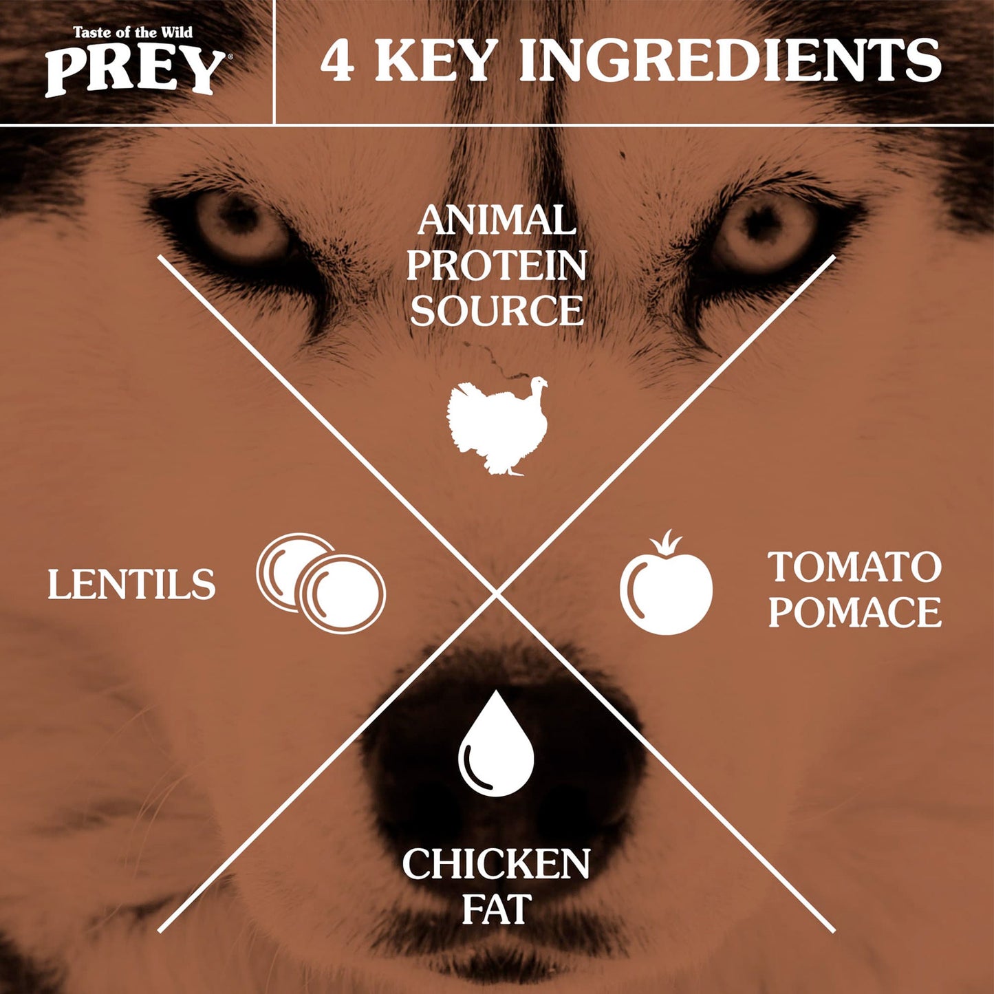 PREY Turkey Limited Ingredient Formula for Dogs