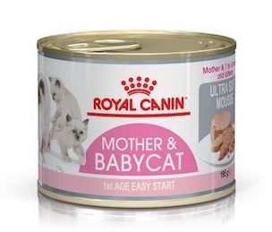 Royal Canin Mother & Babycat Mousse - Young & Adult Wet Cat Food 195g - Pack of 12