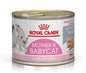 Royal Canin Mother & Babycat Mousse - Young & Adult Wet Cat Food 195g - Pack of 12