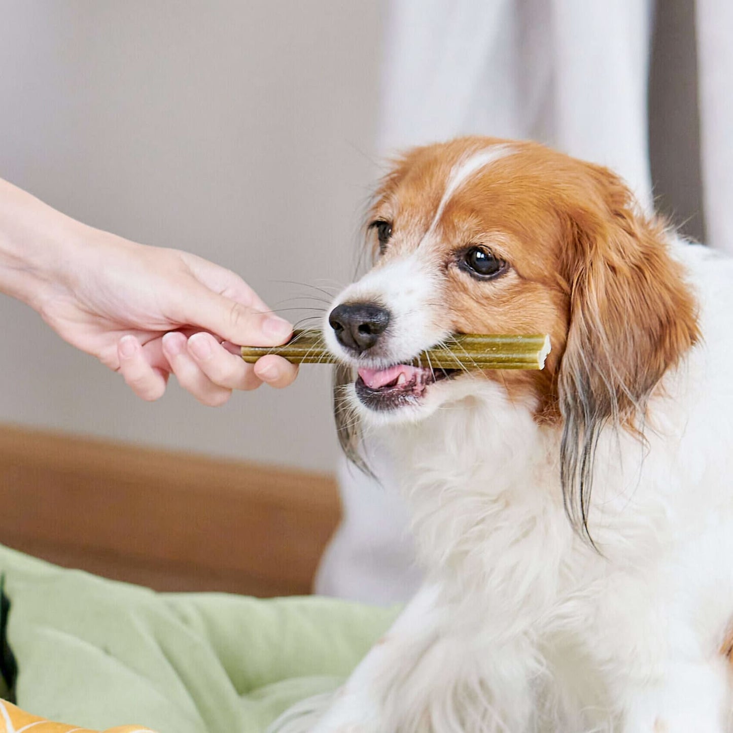 Whimzees Soft Daily Dental Dog Treats Value Bag -  X Small (56 pcs)