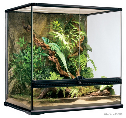 Exo Terra Natural Glass Terrarium | Advanced Reptile Habitat | Medium/Tall 60×45×60 cm