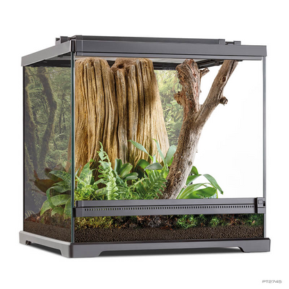 Exo Terra Dart Frog Glass Terrarium | Tropical Amphibian Habitat | 45×45×45 cm