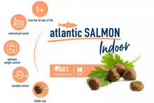 Happy Cat Indoor Atlantic Salmon