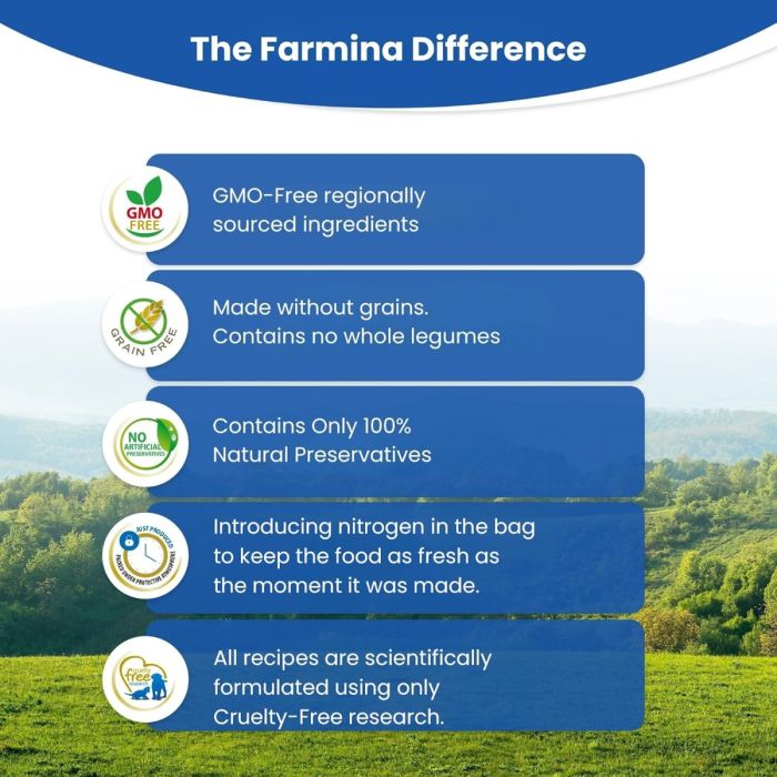 Farmina N&D Pumpkin, Lamb and Blueberry Medium and Maxi Dry Dog Food - 12 Kg