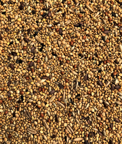Farma Exotic Mix Bird Food – Premium Complete Feed for Exotic Birds – 20kg