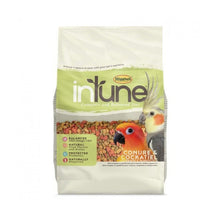 Higgins Intune Conure/Cockatiel 2Lbs