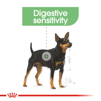 Royal Canin Canine Care Nutrition Digestive Care (Wet Food - Pouches) 12 x 85 g