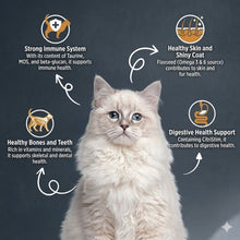 Reflex Adult Cat Food Gourmet Chicken And Rice 2Kg