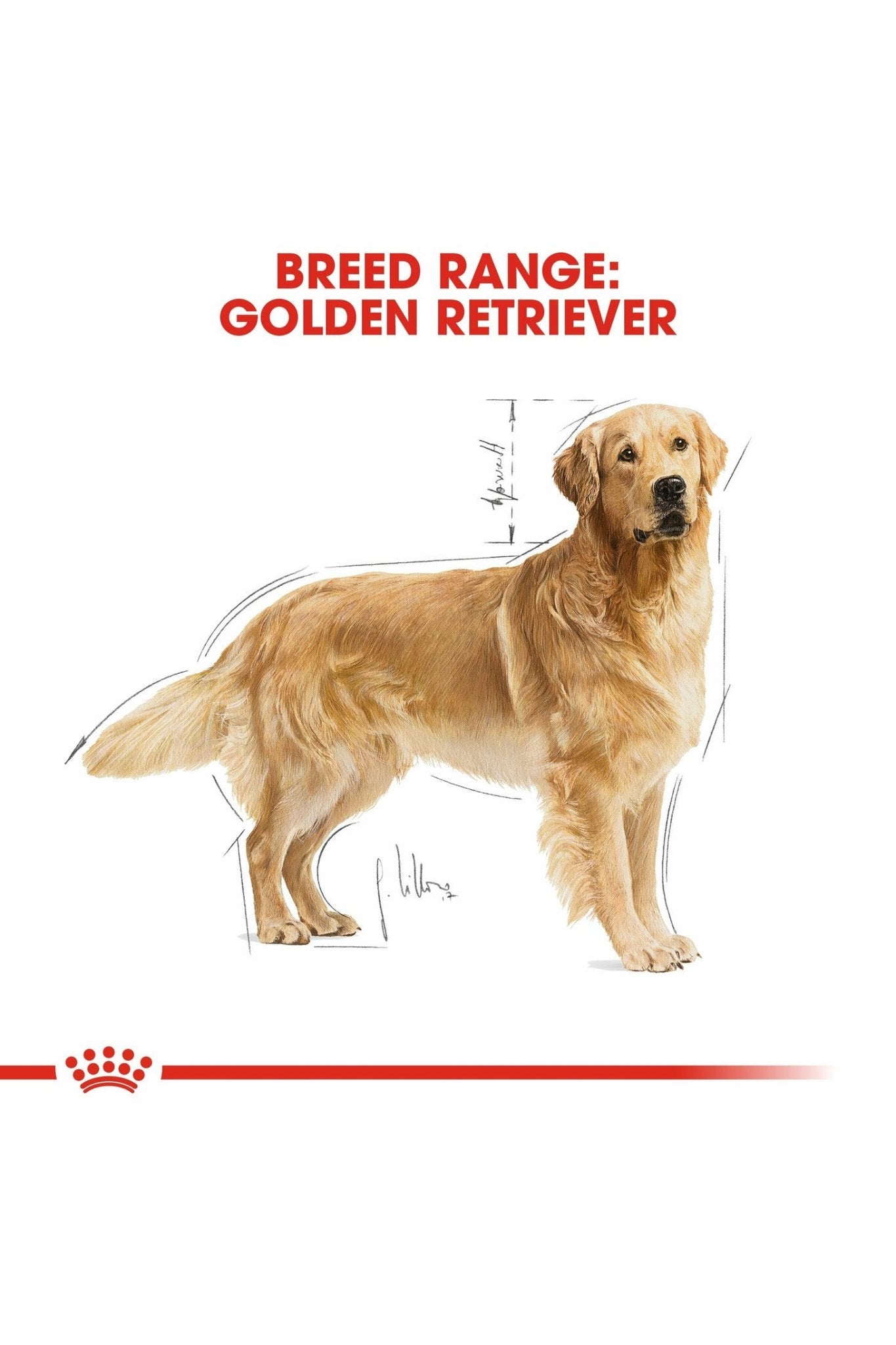Royal Canin Breed Health Nutrition Golden Retriever Adult 12 kg