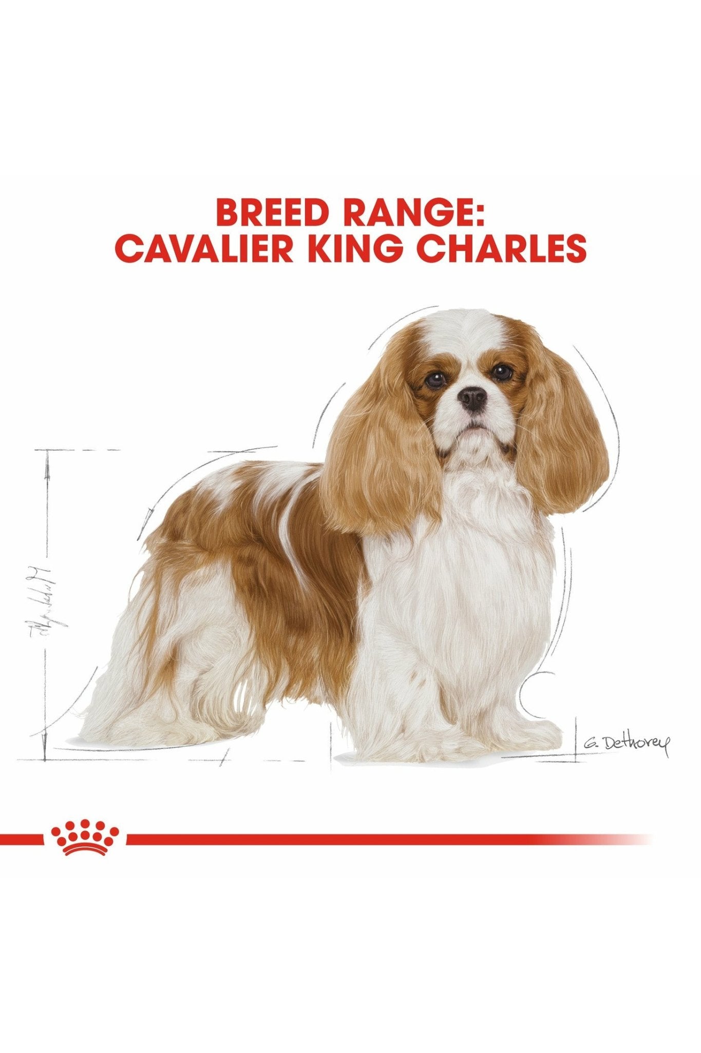 Royal Canin Cavalier King Charles Spaniel Adult Dry Dog Food 1.5KG