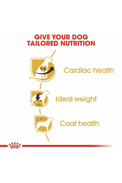Royal Canin Cavalier King Charles Spaniel Adult Dry Dog Food 1.5KG