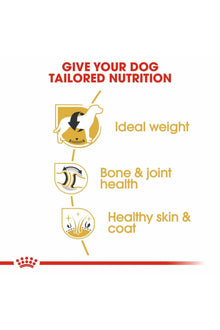 Royal Canin Labrador Retriever Adult Dry Dog Food
