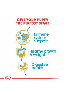 Royal Canin Labrador Retriever Puppy Dry Food