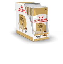 Royal Canin Breed Health Nutrition Labrador Retriever Adult Wet Dog Food in Gravy 10 x 140g