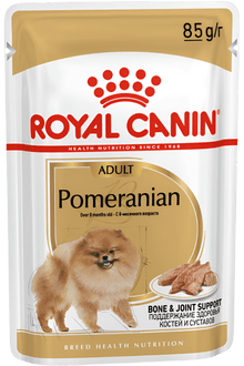 Royal Canin Pomeranian Adult Wet Dog Food in Gravy 85g x 12 Pouches