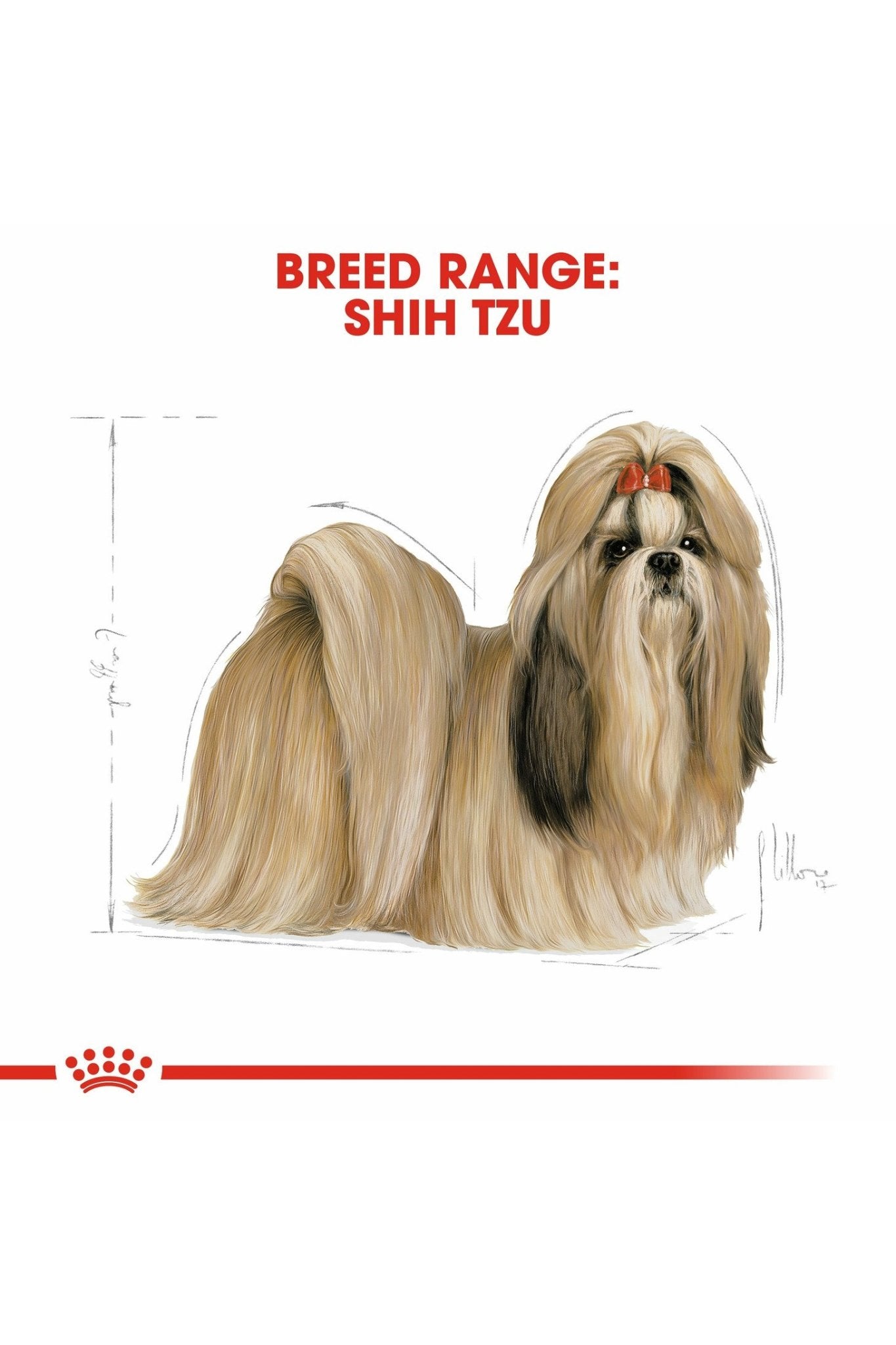 Royal Canin Shih Tzu Adult Dry Dog Food