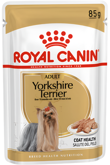 Royal Canin Breed Health Nutrition Yorkshire Adult (Wet Food - Pouches) 12 x 85 g