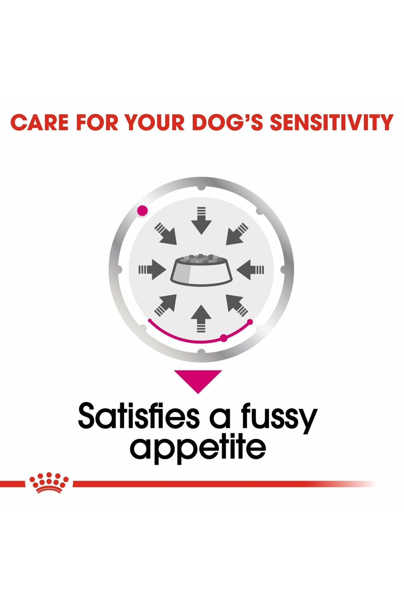Royal Canin Canine Care Nutrition Exigent (Wet Food- Pouches) 12 x 85 g