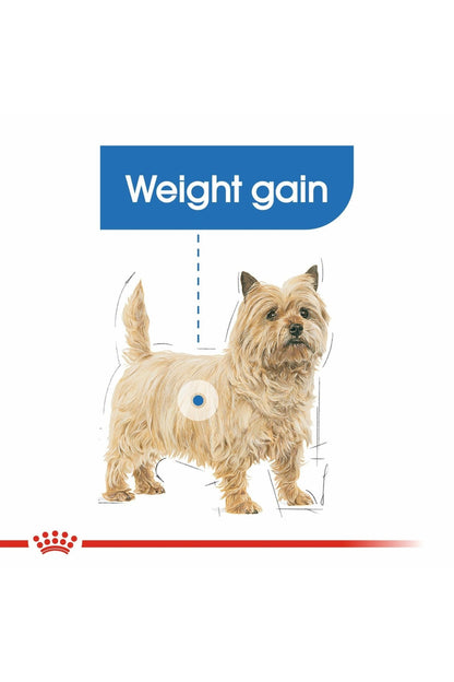 Royal Canin Canine Care Nutrition Light Weight Care (Wet Food - Pouches) 12 x 85 g