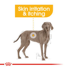 Royal Canin Size Health Nutrition Maxi Dermacomfort Adult Dry Dog Food