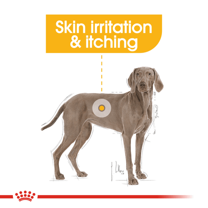 Royal Canin Size Health Nutrition Maxi Dermacomfort Adult Dry Dog Food