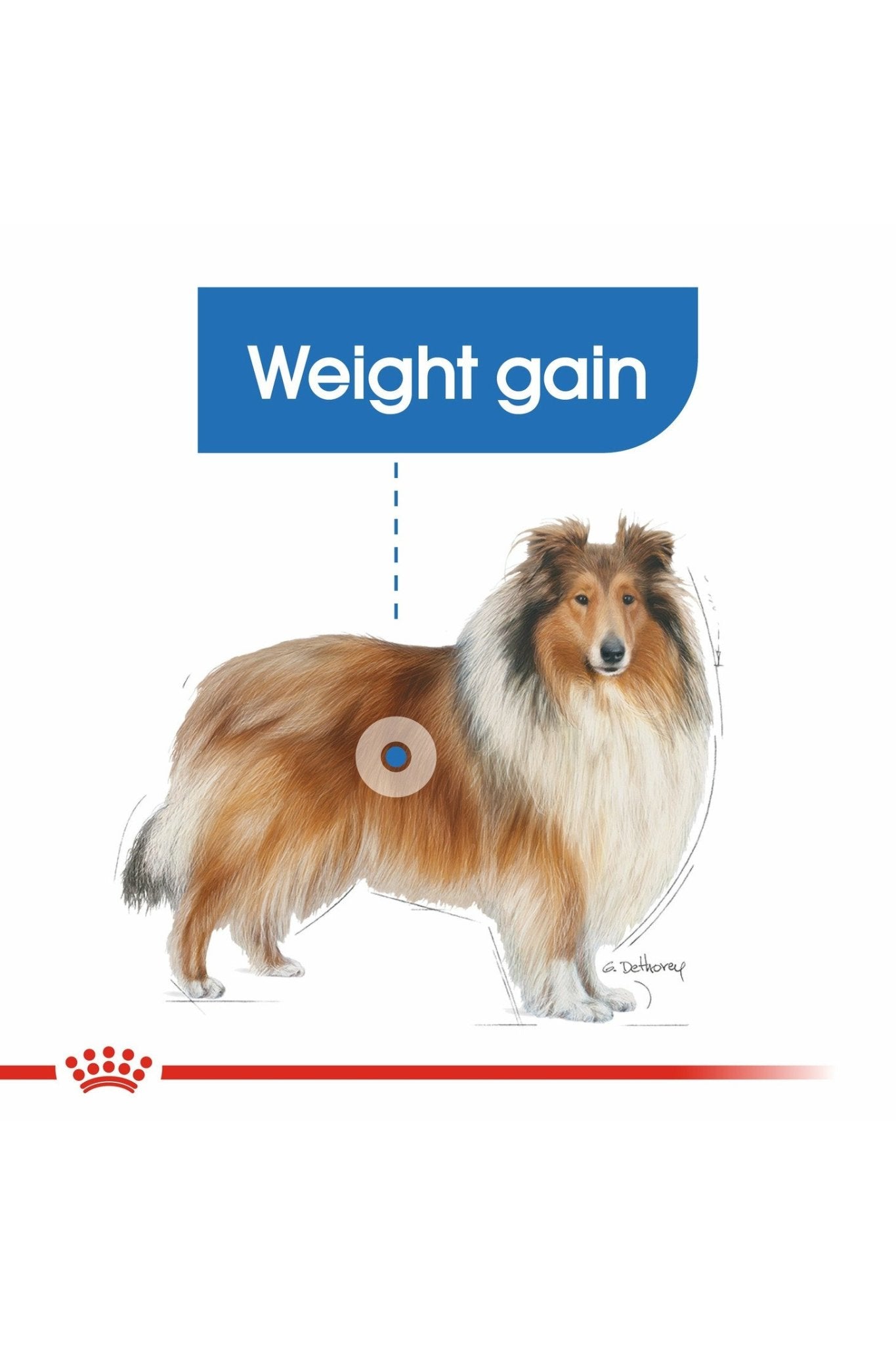Royal Canin Size Health Nutrition Maxi Light Weight Care Adult Dry Dog Food 12kg