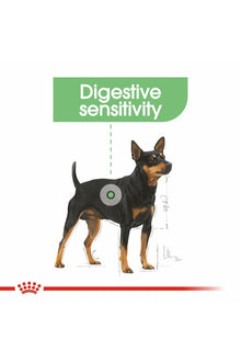Royal Canin Mini Digestive Care Adult Dry Dog Food 3KG