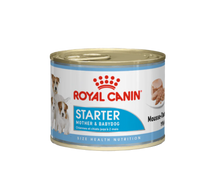 Royal Canin Canine Health Nutrition Starter Mousse (Wet Food - Cans) 12 x 195 g