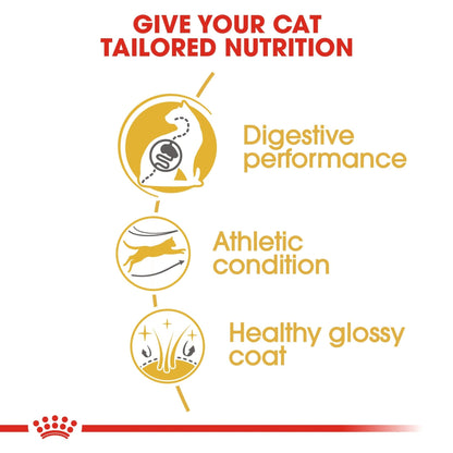 Royal Canin Bengal Adult Dry Cat Food 2KG