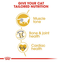 Royal Canin Feline Breed Nutrition British Shorthair 10 kg