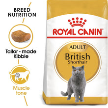 Royal Canin Feline Breed Nutrition British Shorthair Adult Dry Cat Food 10kg