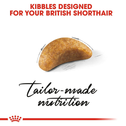 Royal Canin Feline Breed Nutrition British Shorthair Kitten 2 kg