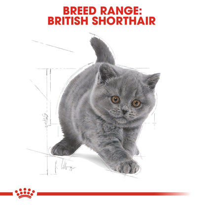 Royal Canin Feline Breed Nutrition British Shorthair Kitten 2 kg