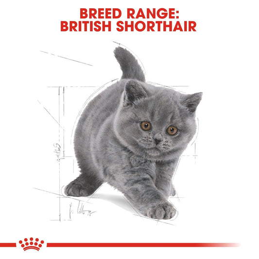 Royal Canin British Shorthair Kitten Dry Food 2KG