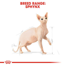 Royal Canin Feline Breed Nutrition Sphynx 2kg