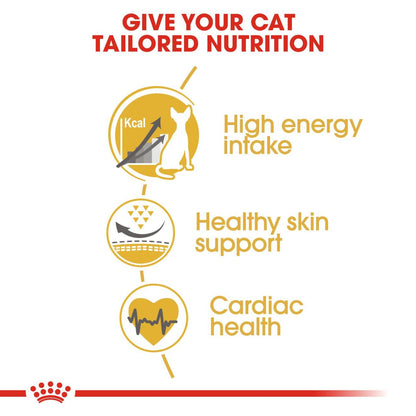Royal Canin Feline Breed Nutrition Sphynx 2kg