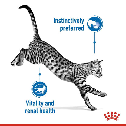 Royal Canin Feline Health Nutrition Indoor 7+ (Wet Food - Pouches) 12 x 85 g