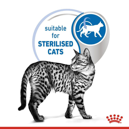 Royal Canin Feline Health Nutrition Indoor Jelly (Wet Food - Pouches) 12 x 85 g