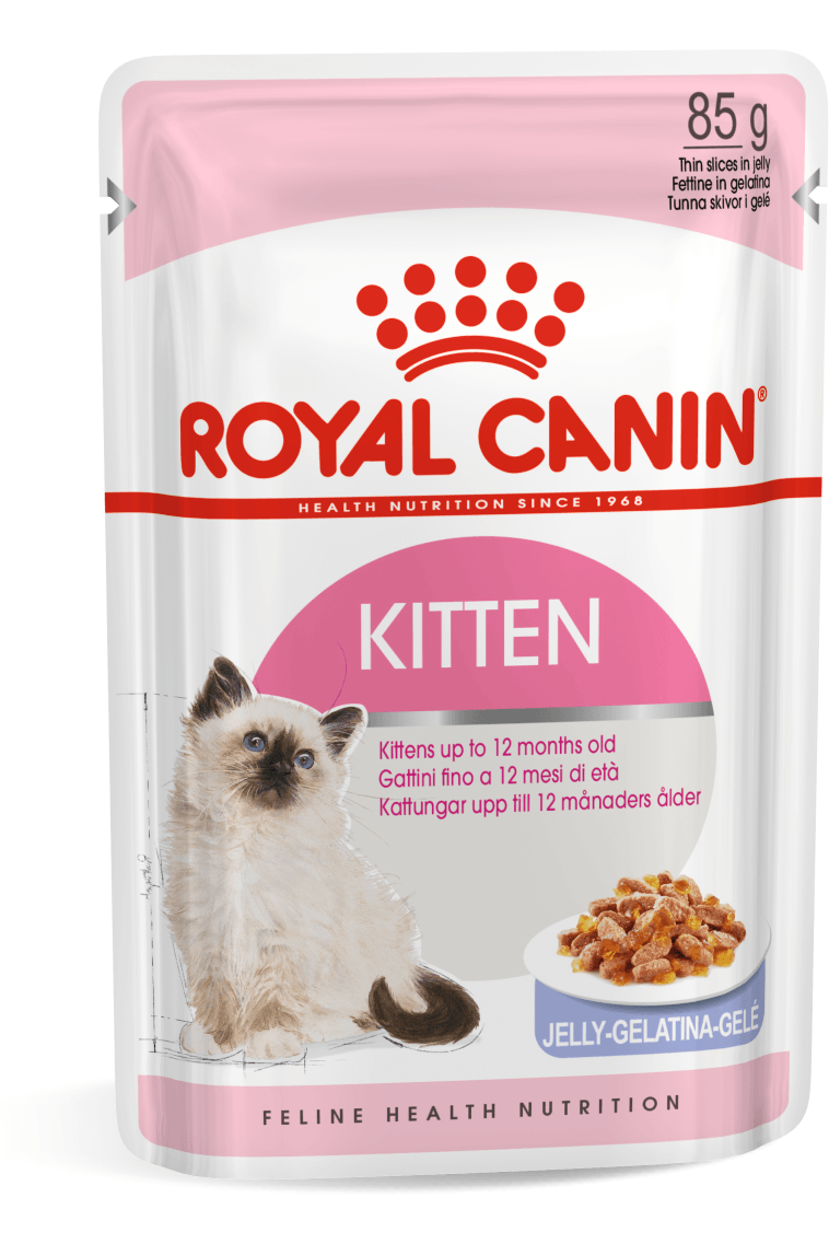 Royal Canin Feline Health Nutrition Kitten Wet Cat Food in Jelly – 85g x 12 Pouches