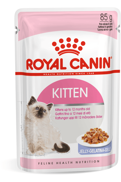 Royal Canin Feline Health Nutrition Kitten Wet Cat Food in Jelly – 85g x 12 Pouches
