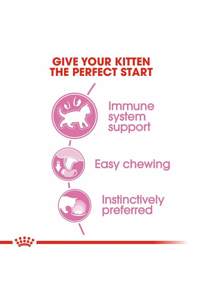 Royal Canin Feline Health Nutrition Kitten Wet Cat Food in Jelly – 85g x 12 Pouches