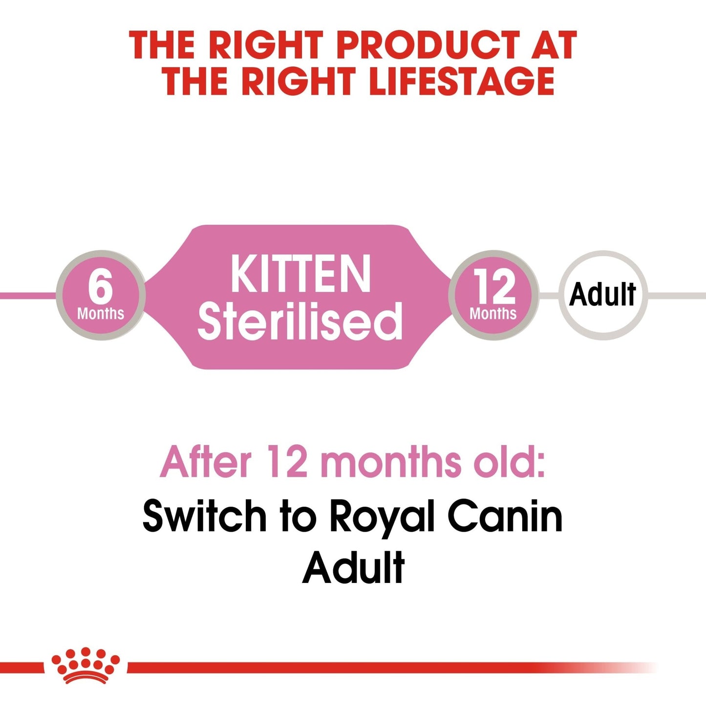 Royal Canin Kitten Sterilised Gravy Wet Cat Food Pouches for Kittens, 12 x 85g