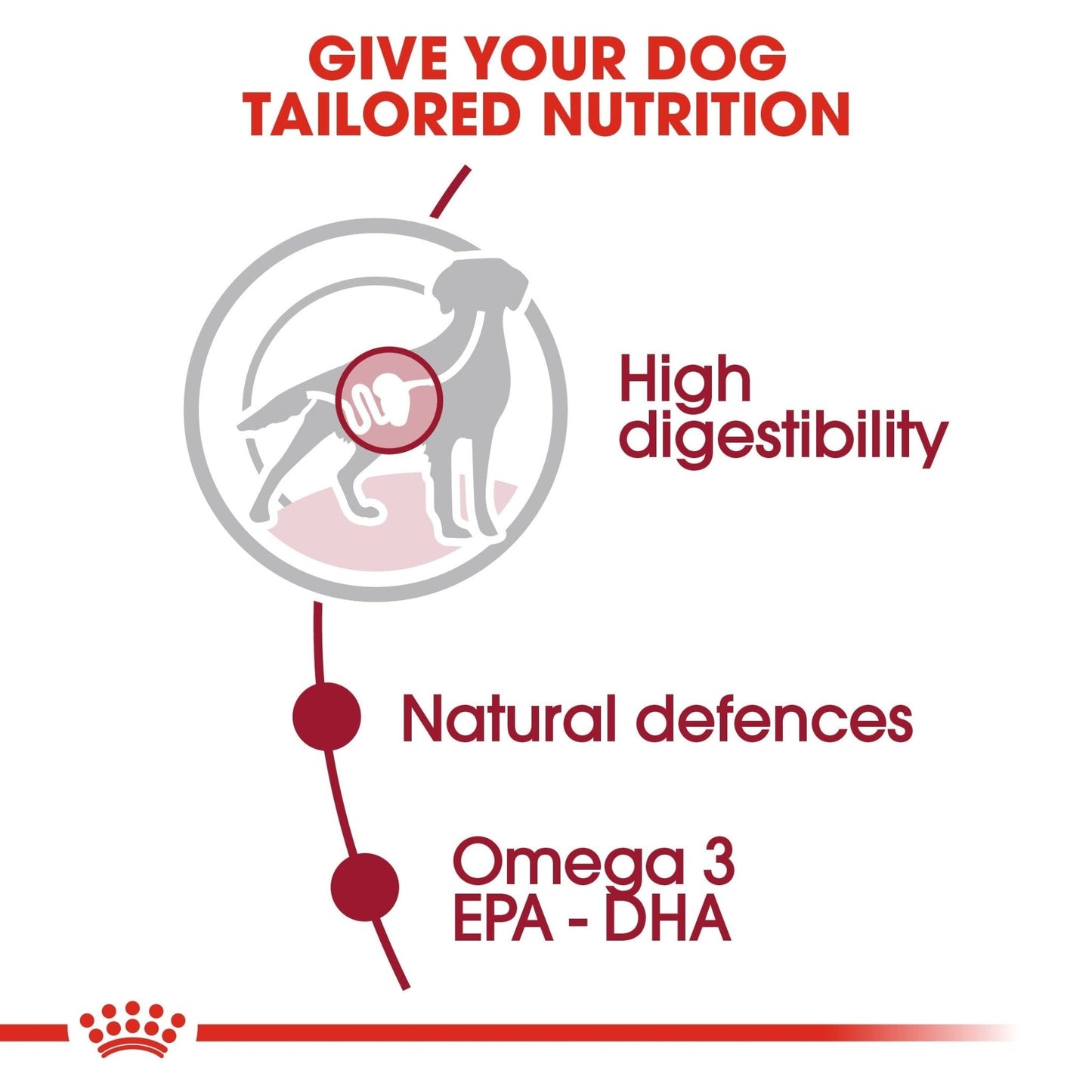 Royal Canin Size Health Nutrition Medium Adult (Wet Food - Pouches) 10 x 140 g