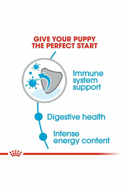 Royal Canin Size Health Nutrition Mini Puppy Dry Dog Food