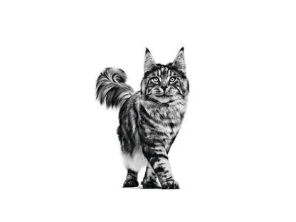 Royal Canin Veterinary Satiety Weight Management Cat 1.5kg