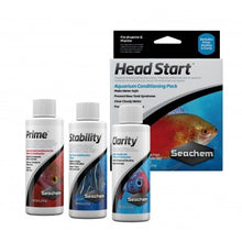 HeadStart Combo Pack 3x100 ml