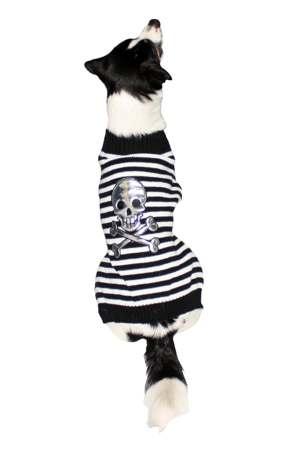 Skull and Cross Bone Dog Jumper - Medium