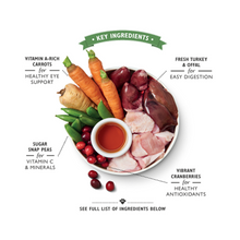 Lily's Kitchen Senior Recipe Dog Wet Food Box 6x400G