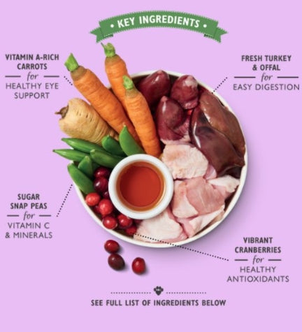 Lily's Kitchen Senior Recipe Dog Wet Food Box 12x150G